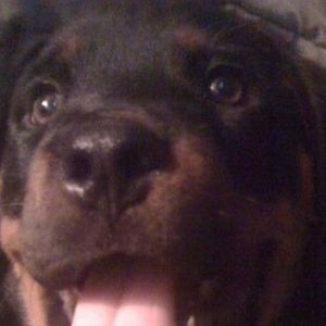 Meet your Posher, Debra